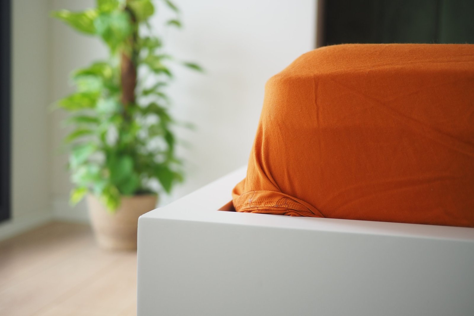 A warm orange blanket covers a bed in a bright, modern room with a plant.