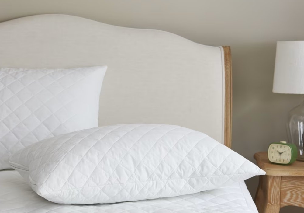 pillow protectors (1)