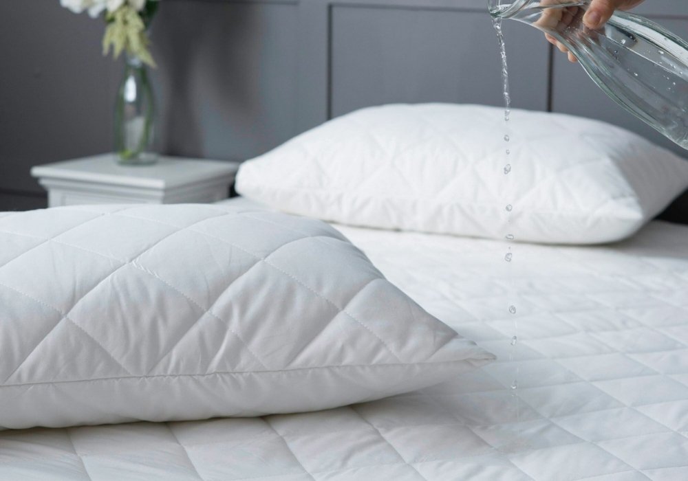 pillow protectors (2)